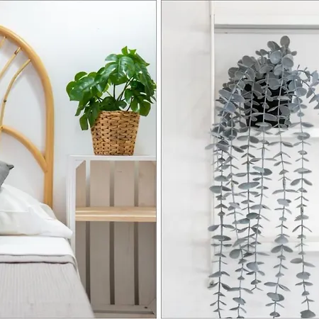 Mediterranean Way - Carpe Diem Apartment